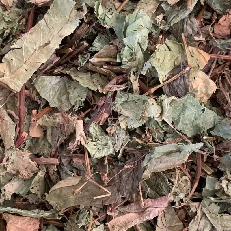 火炭母草【包邮】三斤起发货可批量可零售量大从优