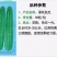 【翠花丝瓜】早熟杂交壹代大花点厚肉型瓜身饱满均匀