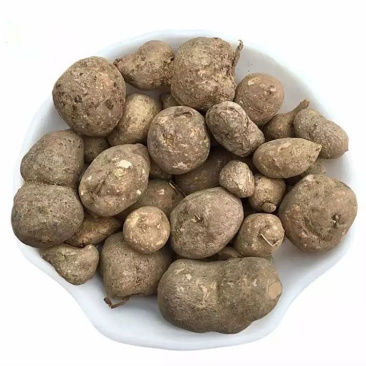三叶青新鲜晒干中药材金线吊葫芦吊金钟石老鼠