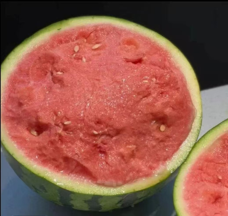 甘肃美都西瓜皮薄肉多无籽可甜可甜一件代发产地直发