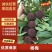 杨梅云南杨梅大量现货供应，一手货源规格齐全，可视频看货