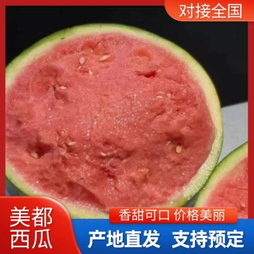 甘肃美都西瓜皮薄肉多无籽可甜可甜一件代发产地直发
