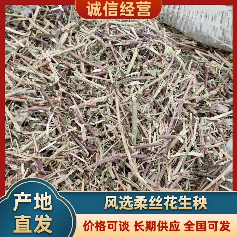 风选柔丝花生秧，价格随行就市，量大从优真诚，真诚做生意