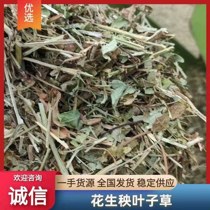 袋装花生秧叶子草，货量充足，全国发货价格随行就市欢迎致电