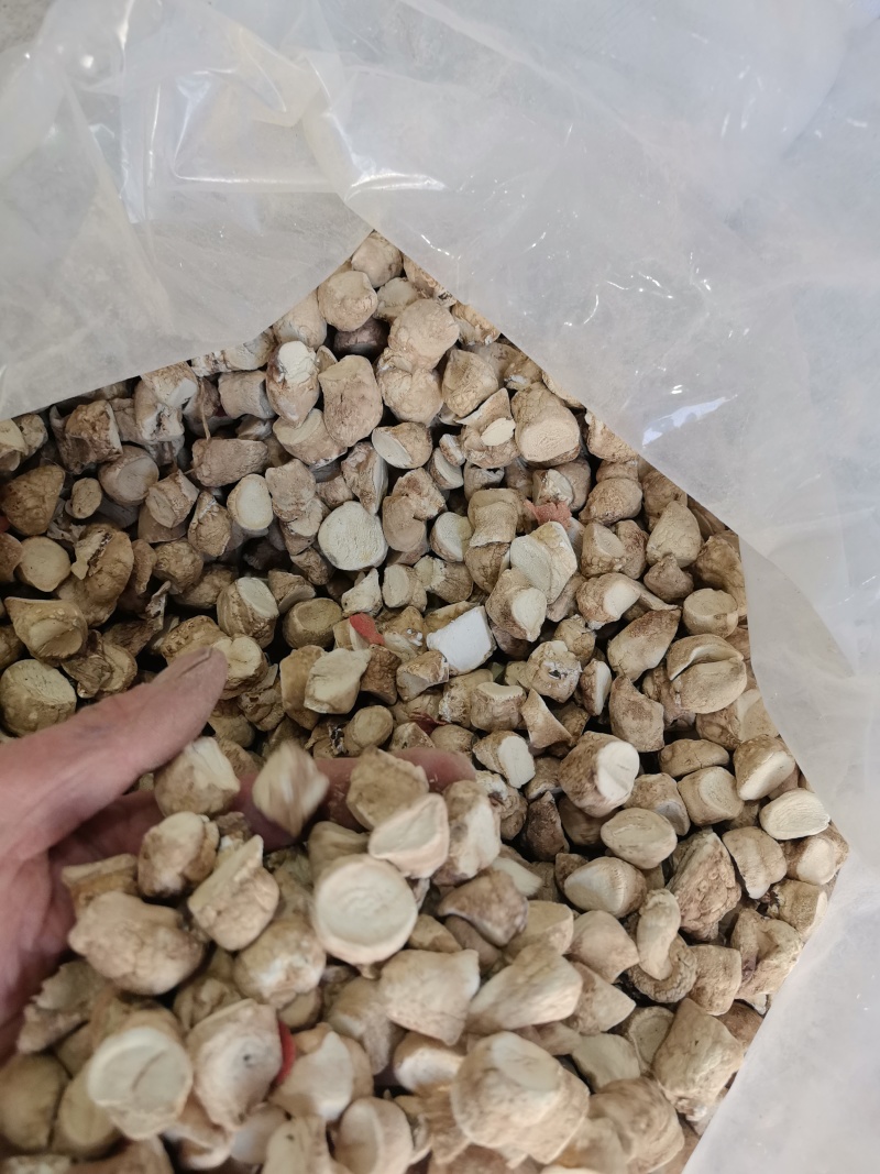 A级冬季香菇腿