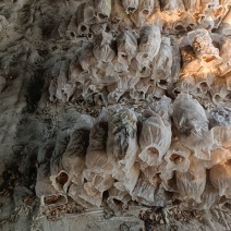 平菇菌包废料