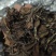 福鼎老白茶，白毫银针白牡丹，福鼎茶园工厂直供