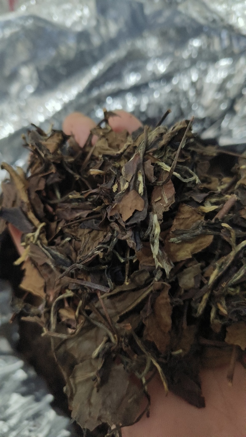 福鼎老白茶，白毫银针白牡丹，福鼎茶园工厂直供