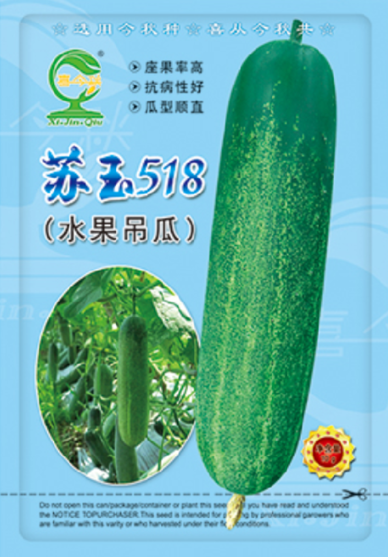 【苏玉518水果吊瓜】杂交一代春秋型早熟耐寒瓜型