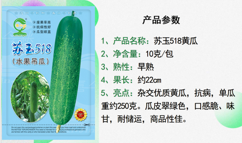 【苏玉518水果吊瓜】杂交一代春秋型早熟耐寒瓜型