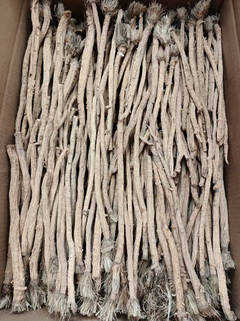 精品甜口防风