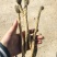 精品甜口防风
