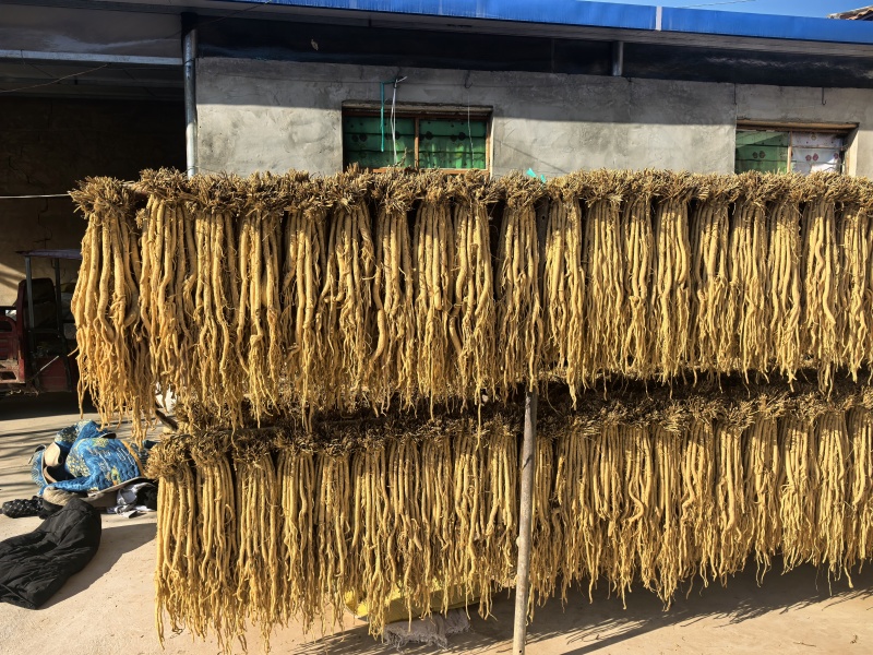 【防风】精品货，保质保量，量大从优，欢迎选购