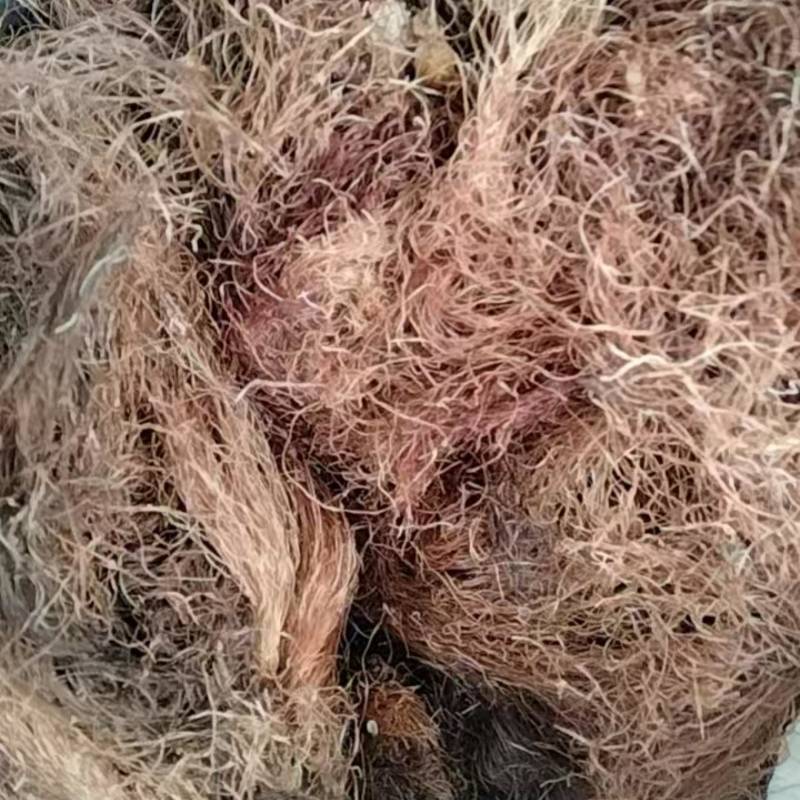 玉米须，品质佳，产品质量稳定，价格实惠，欢迎咨询