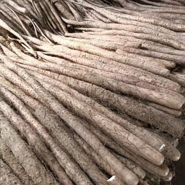 铁棍存红皮铁棍粗度有条形