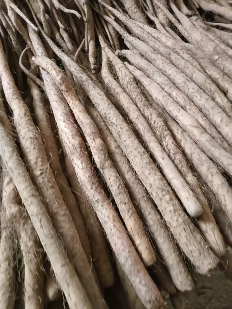 铁棍存红皮铁棍粗度有条形