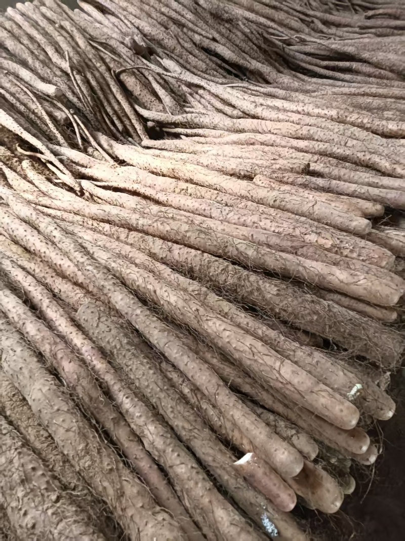 铁棍存红皮铁棍粗度有条形