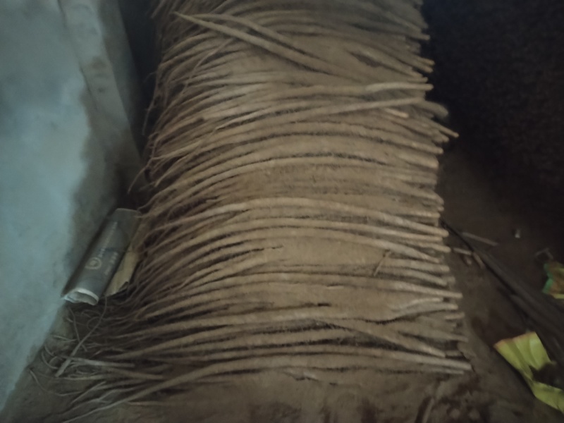 铁棍存红皮铁棍粗度有条形