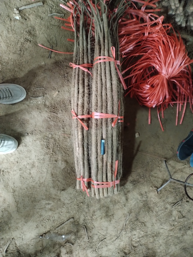 铁棍存红皮铁棍粗度有条形