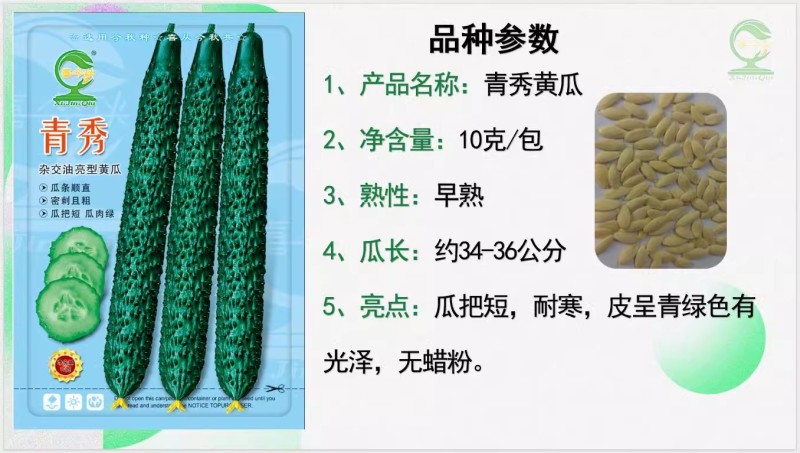 【青秀黄瓜】早熟油亮绿肉刺密耐寒把短顺直耐运输