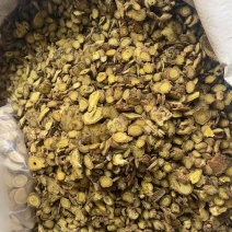 黄芩过四个筛子含量高好黄芩山西黄芩选装黄芩片三年种植好黄芩片