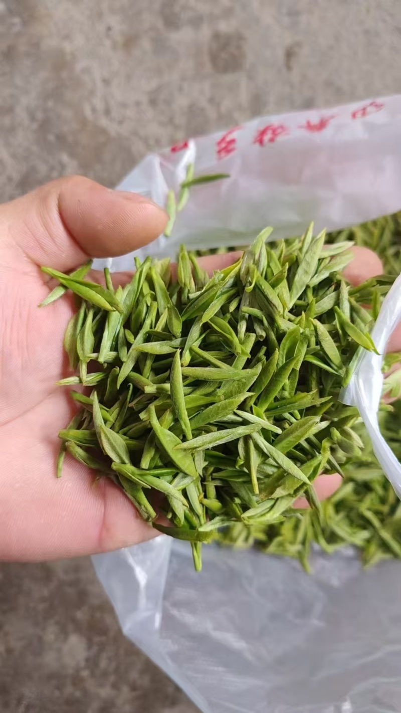 精品川茶和九号，品质保障，欢迎下单