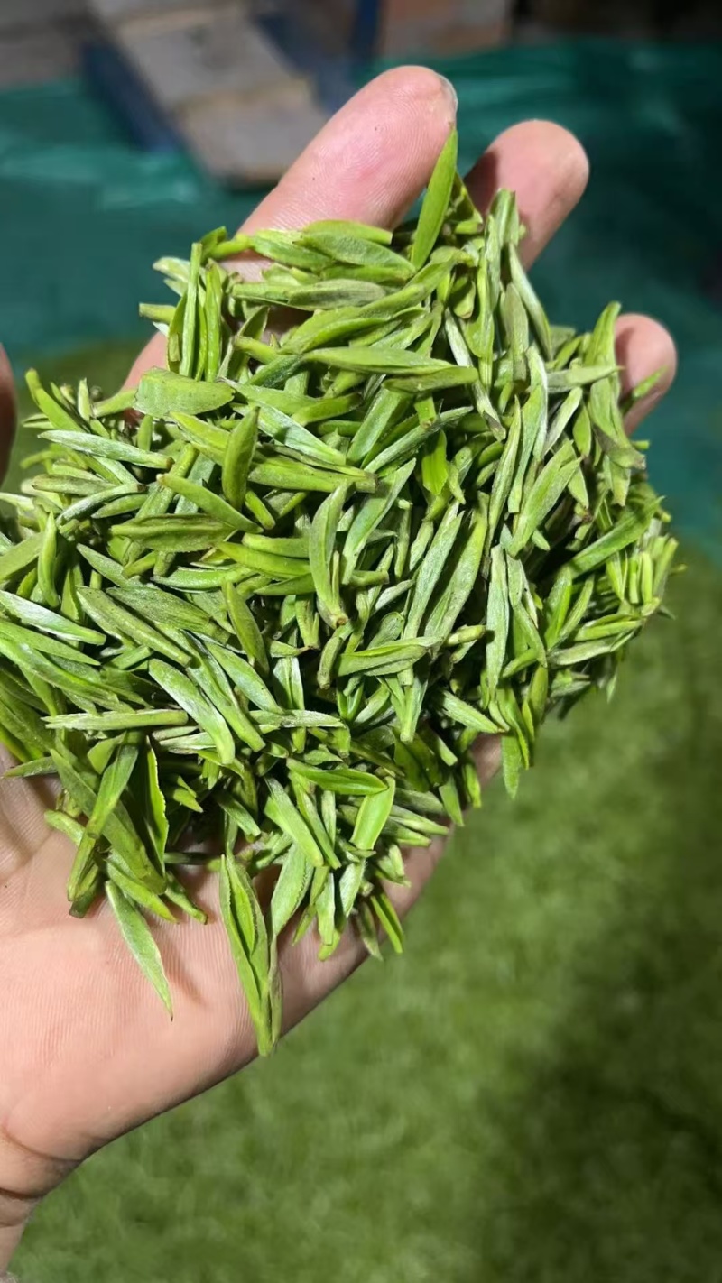 精品川茶和九号，品质保障，欢迎下单