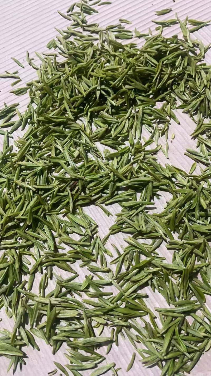 精品川茶和九号，品质保障，欢迎下单