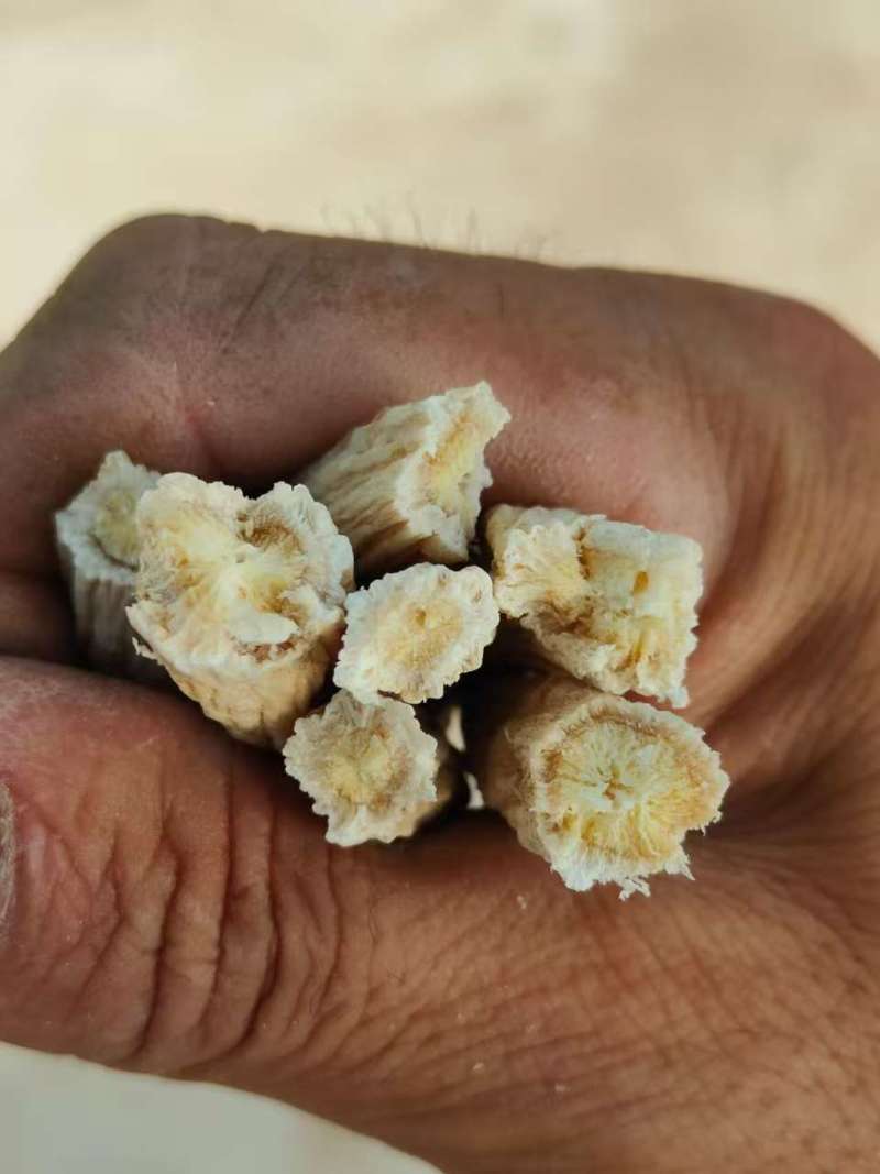 出售桔梗去皮干货，品质保证，大量有货，欢迎来电咨询