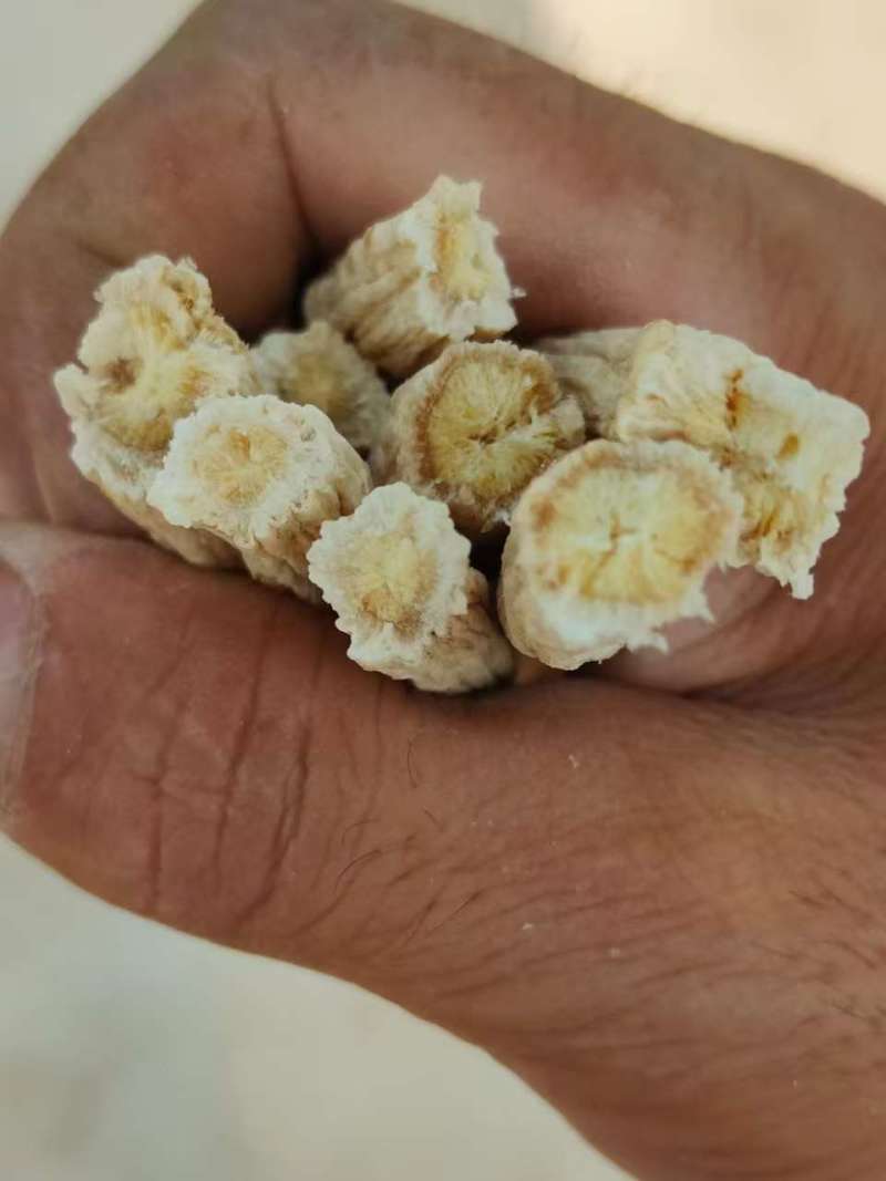 出售桔梗去皮干货，品质保证，大量有货，欢迎来电咨询
