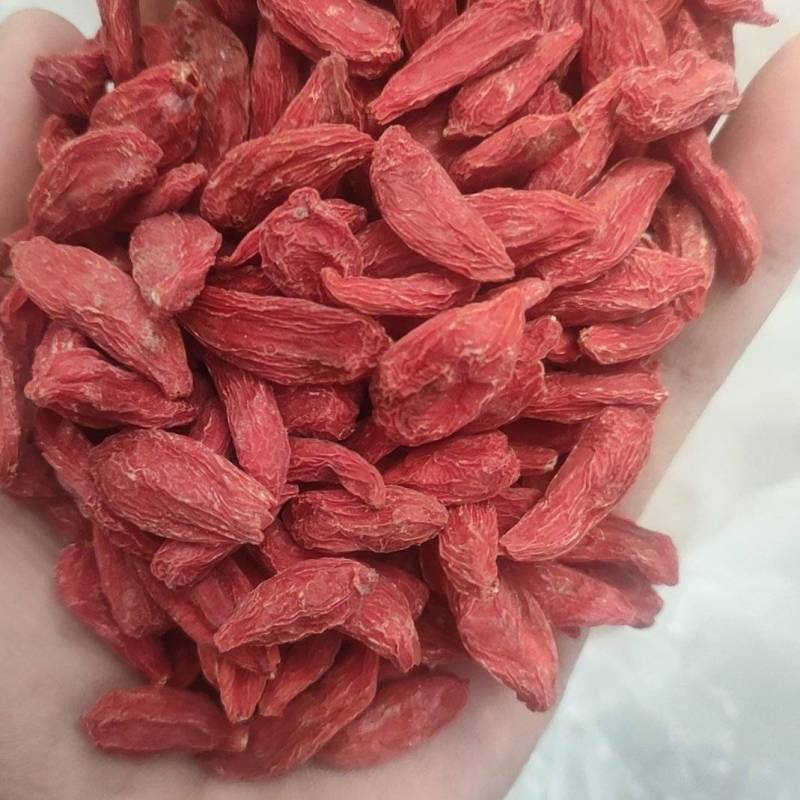 ***枸杞超高性价比**一手货源保障