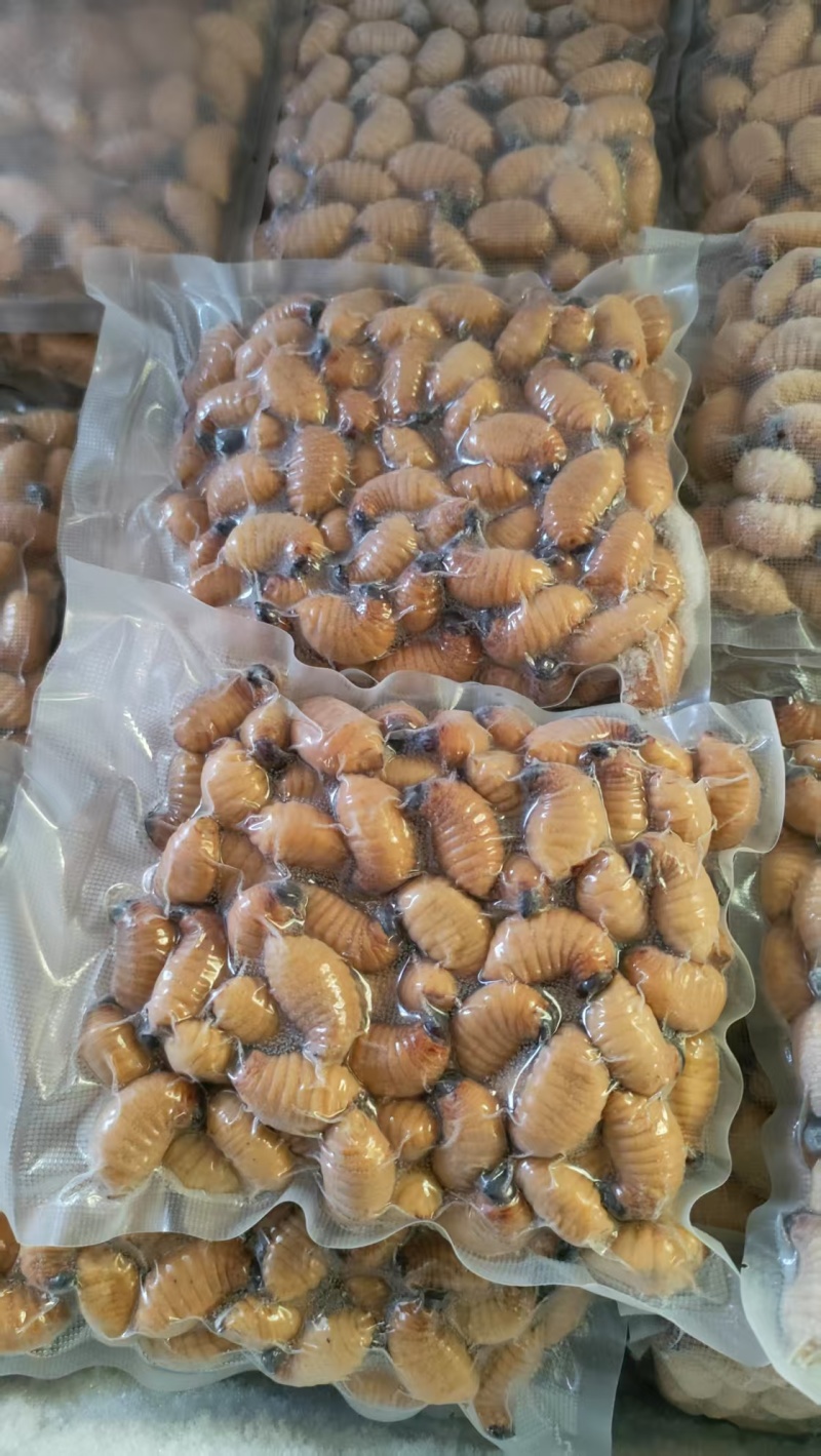 笋蛹，一斤一百二十只左右，熟冻，整件冷链发货全国
