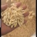 2025.现货蜂蛹，树蜂一二级，生冻，熟冻，各规格齐全