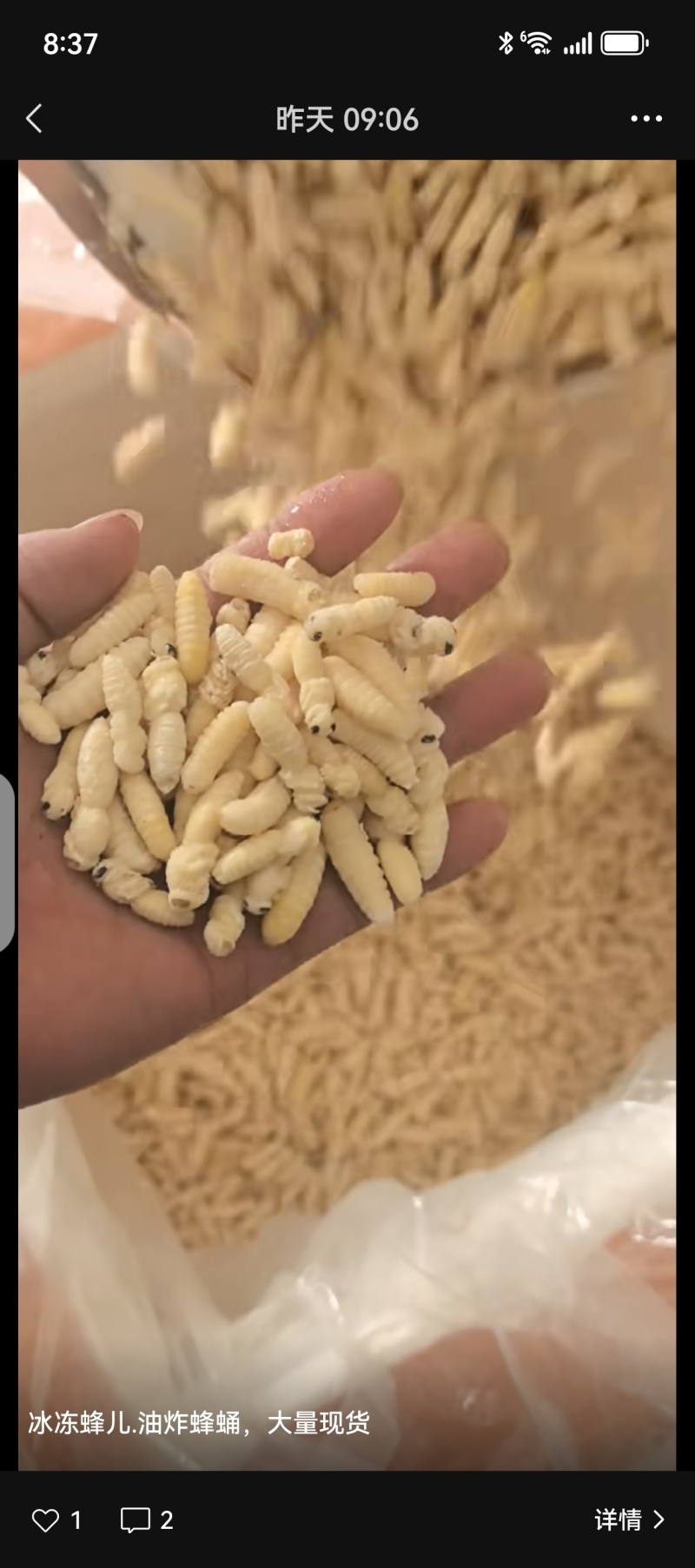 2025.现货蜂蛹，树蜂一二级，生冻，熟冻，各规格齐全