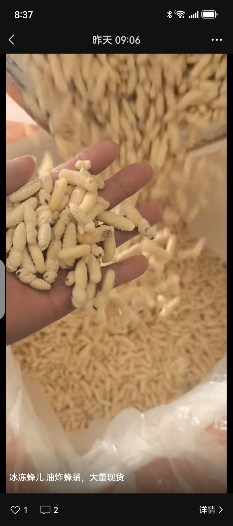 2025.现货蜂蛹，树蜂一二级，生冻，熟冻，各规格齐全