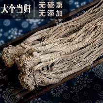 甘肃当归产地直发一手货源现货现发可视频看货