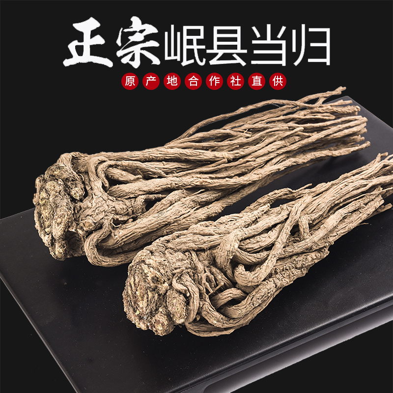 甘肃当归产地直发一手货源现货现发可视频看货