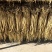 【防风】精品货，保质保量，量大从优，欢迎选购