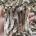 大厂鹿茸菇特级精品如意情鸿升农发各个档次