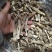 大厂鹿茸菇特级精品如意情鸿升农发各个档次