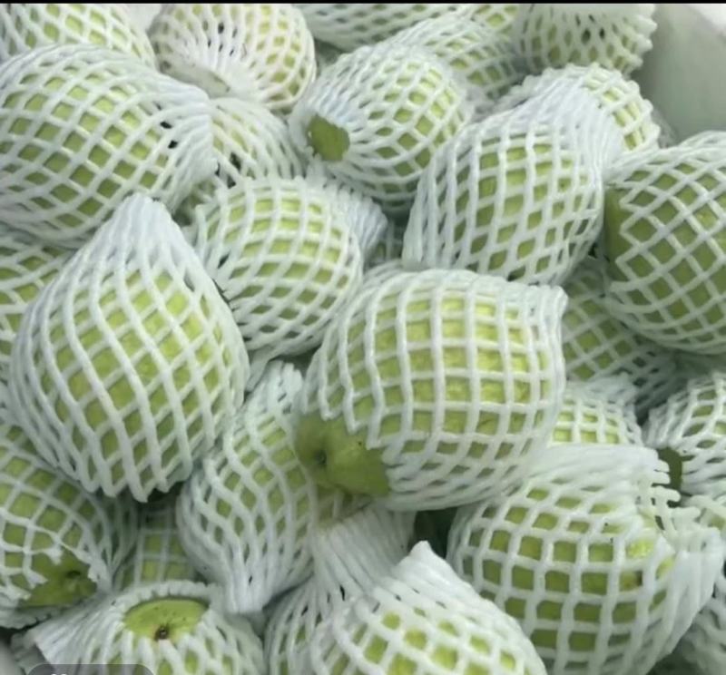 芭乐番石榴