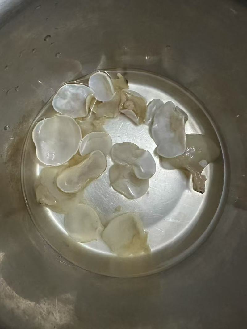 玉木耳现货充足大量走货对接全国欢迎客商致电诚信经营