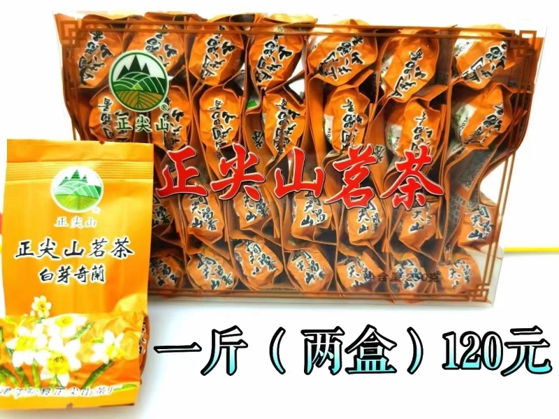 正尖山白芽奇兰