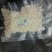 靓货贵在品质！正品溯源燕窝盏燕碎印度尼西亚燕碎老人滋补品
