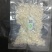 靓货贵在品质！正品溯源燕窝盏燕碎印度尼西亚燕碎老人滋补品