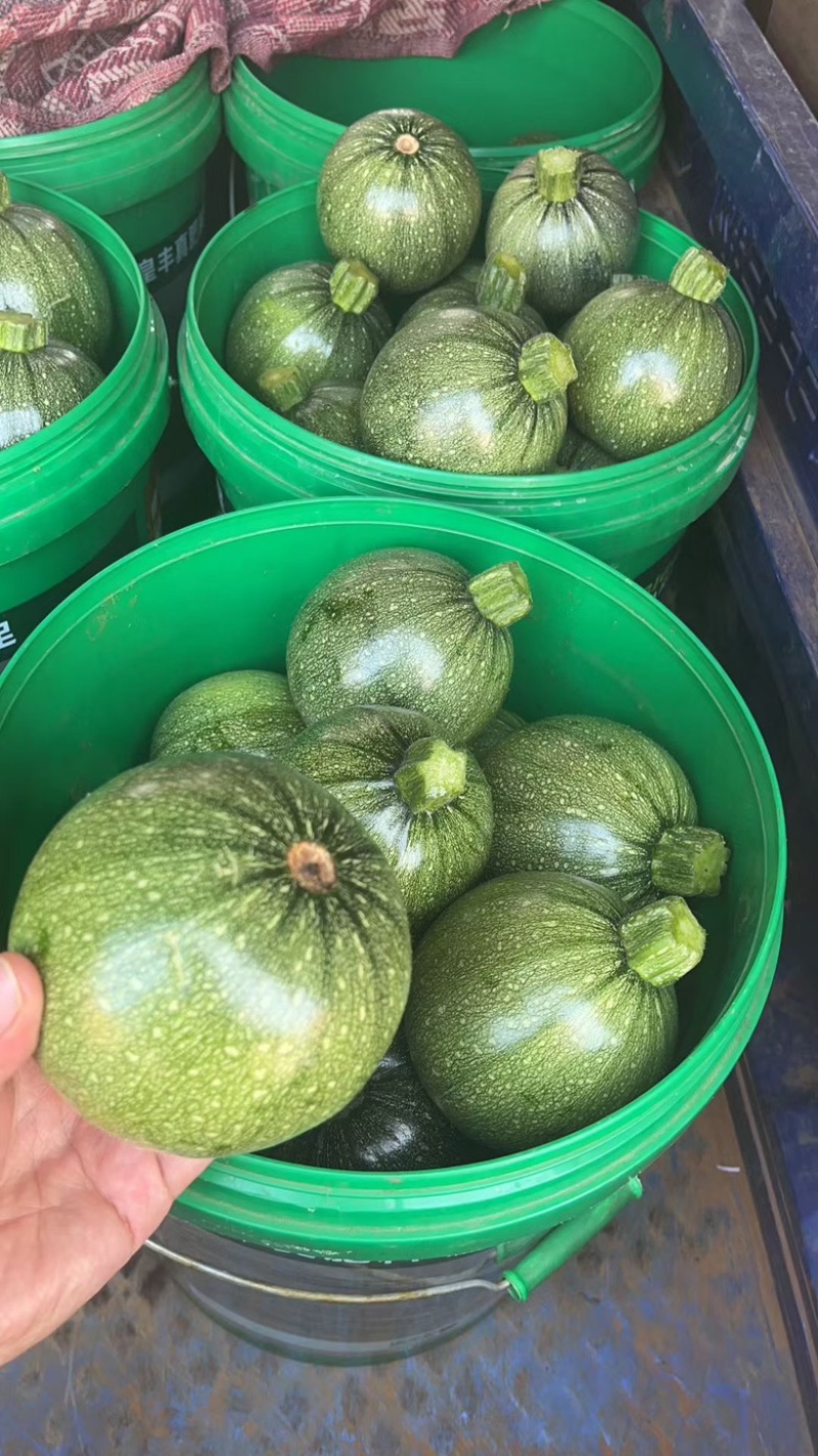 精品小南瓜🎃产地直发🎃电商超市，质量保证，物流全国