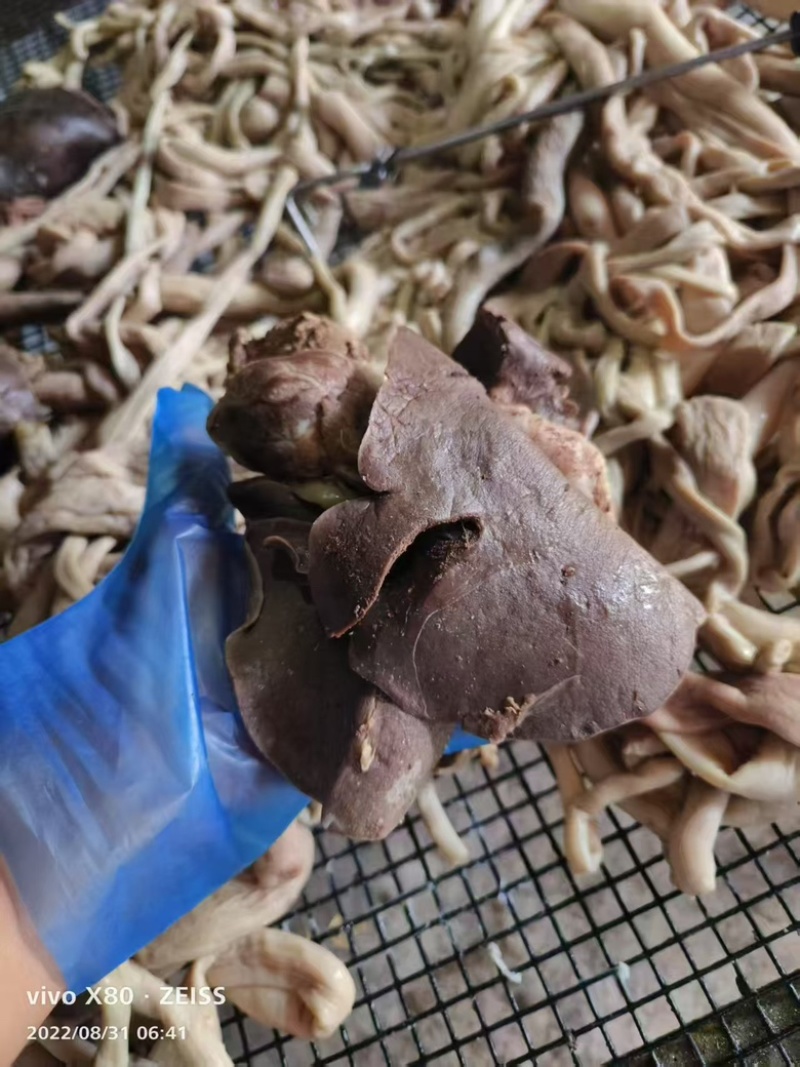 【熟羊杂】羊下货，新鲜现货，量大从优，欢迎老板前来选购，