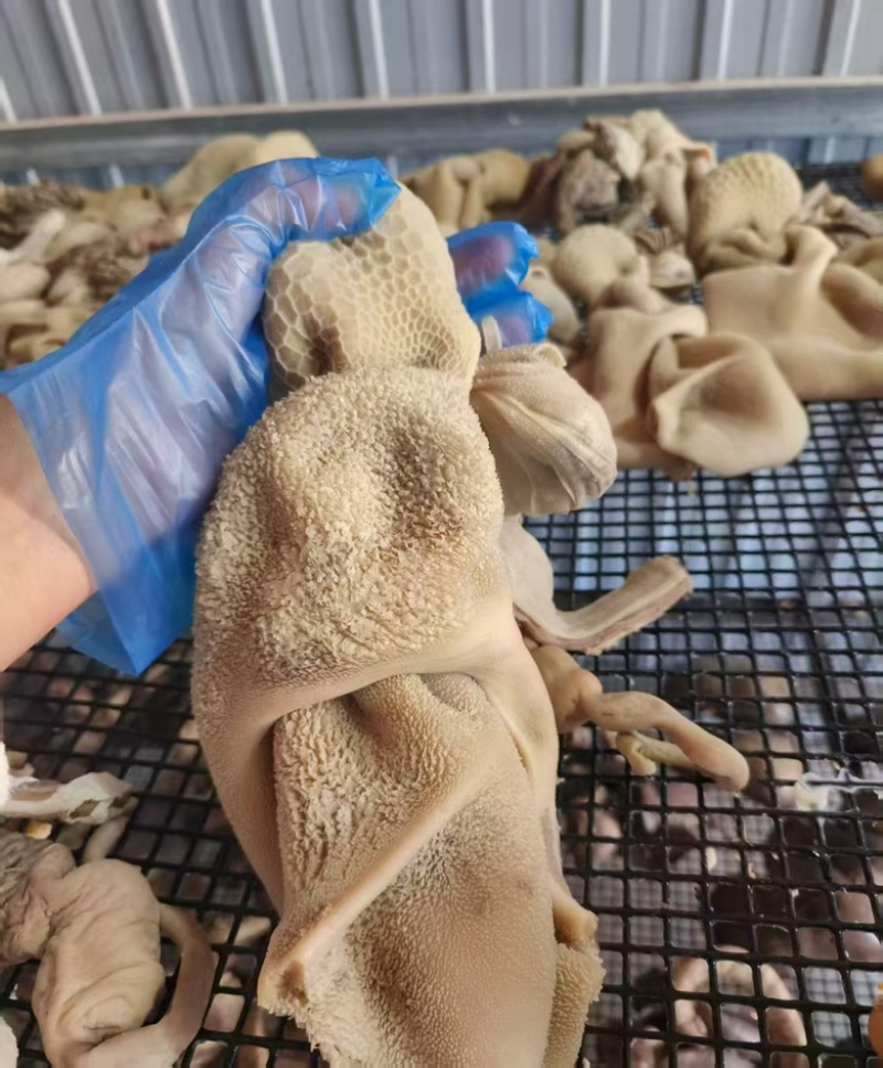 【熟羊杂】羊下货，新鲜现货，量大从优，欢迎老板前来选购，
