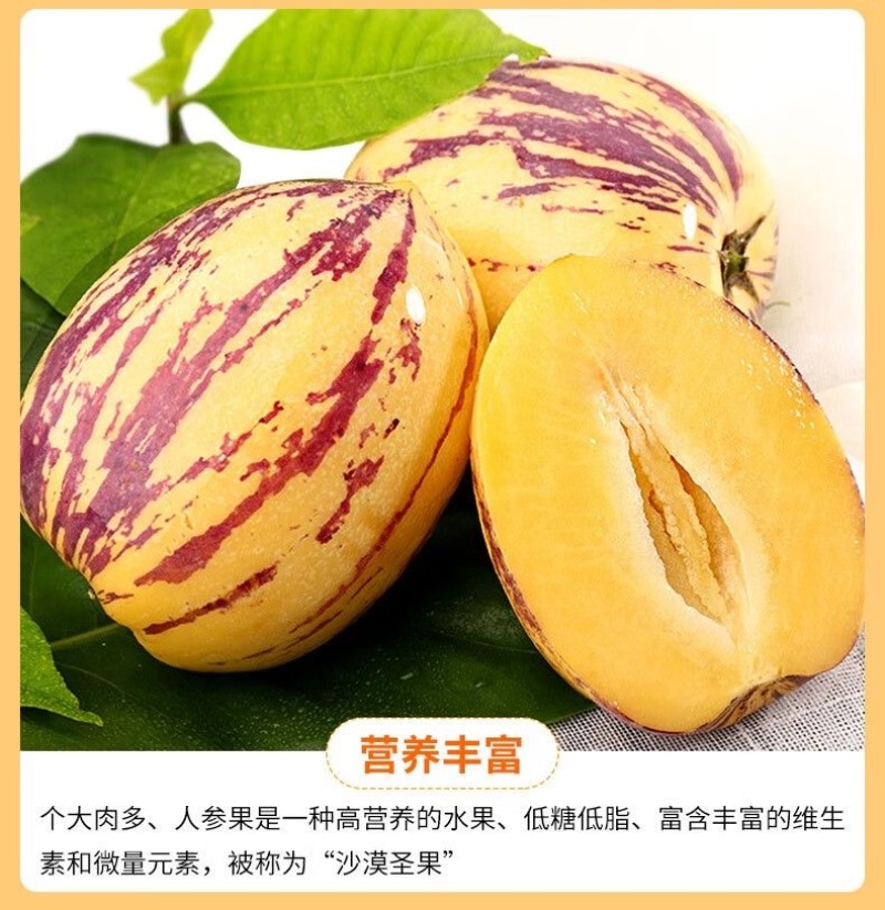 甘肃沙漠人参果一件代发，电商，团购，整车
