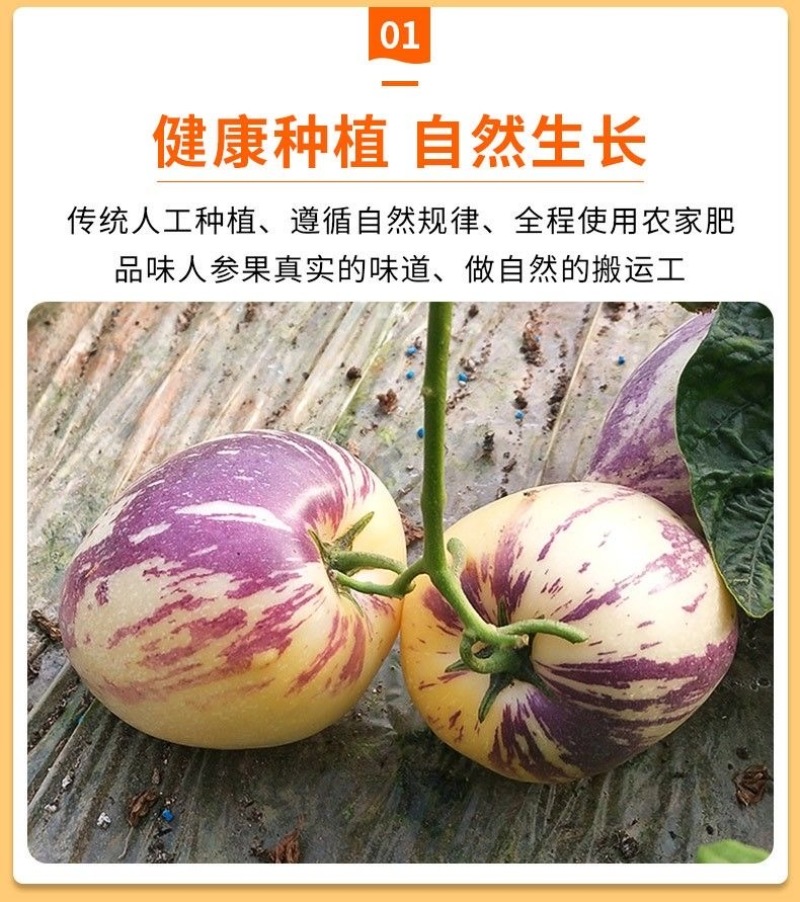 甘肃沙漠人参果一件代发，电商，团购，整车